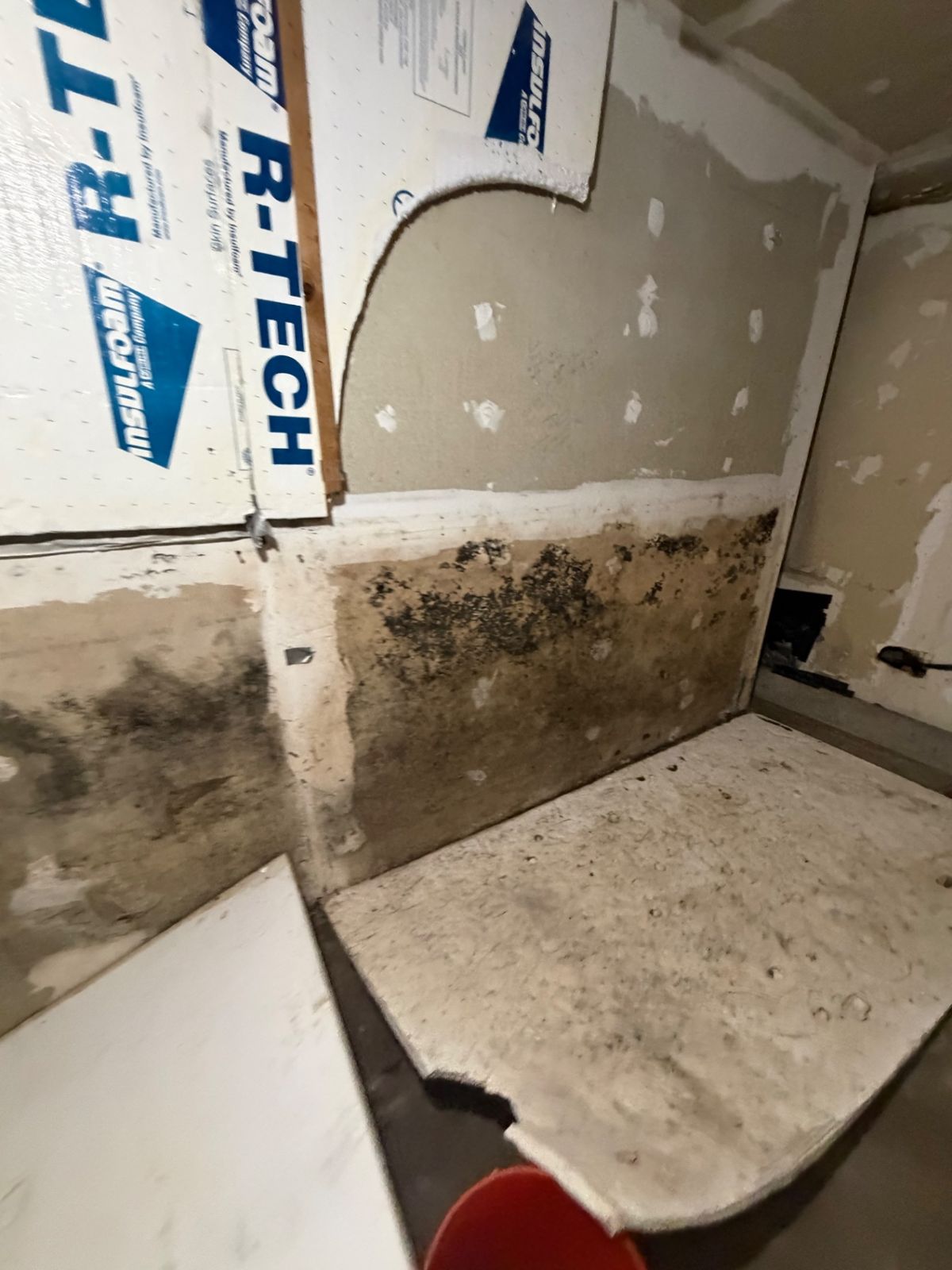 Mold on lower drywall after water damage with drywall partly removed