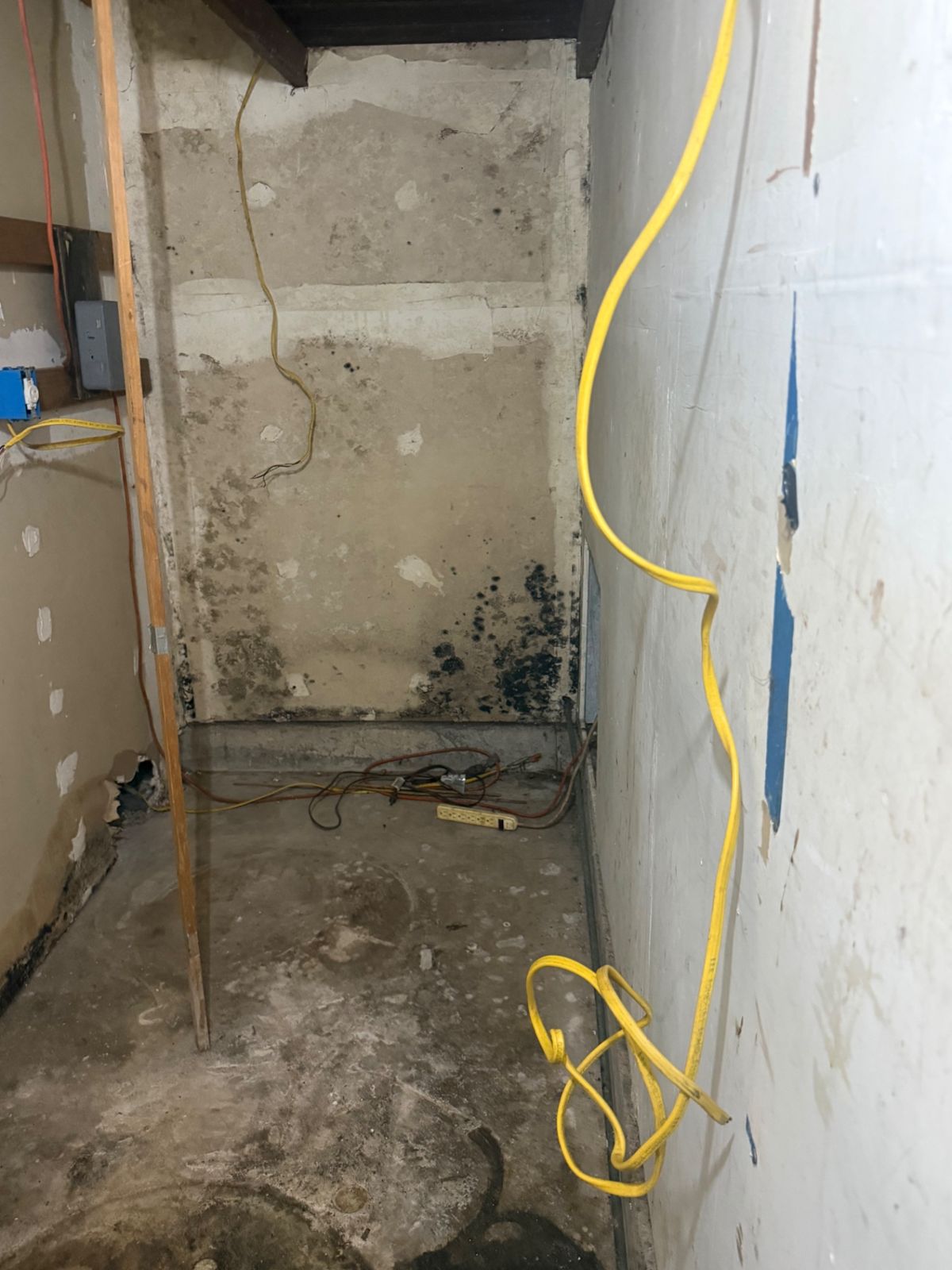 Wall cavity area with mold near the floor during an inspection