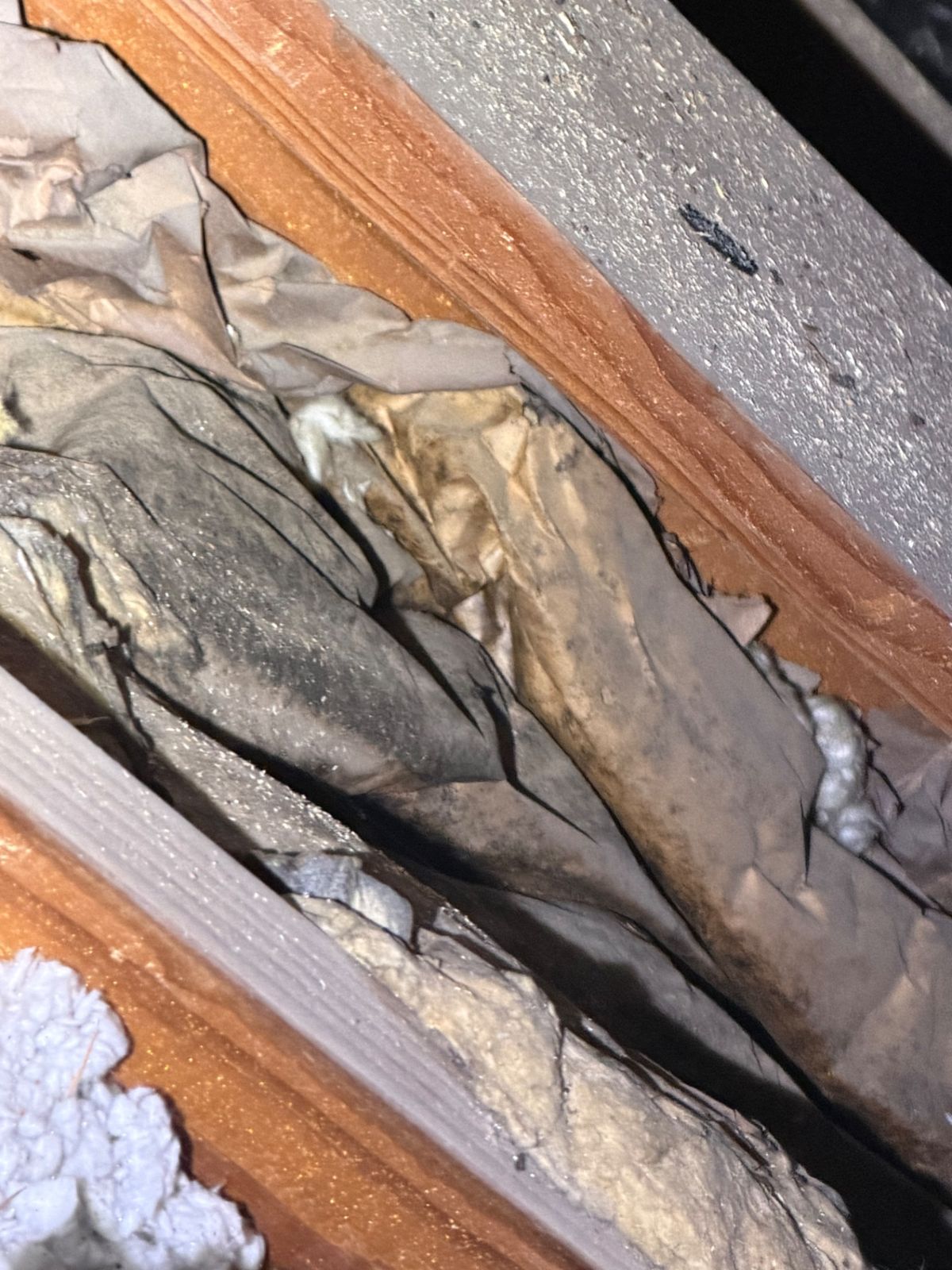 Stained attic insulation and ductwork between rafters